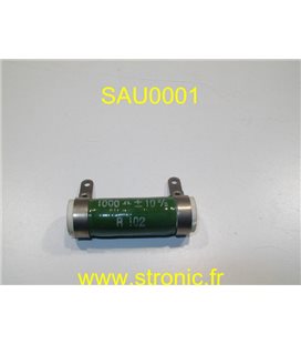 RESISTANCE SAUTHY         R102